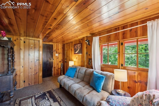 3875 Overlook Rd, Colorado Springs, CO 80906 - carpeted living room with wooden ceiling and wood walls