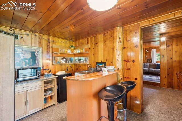 3875 Overlook Rd, Colorado Springs, CO 80906 - kitchen with carpet floors, wooden ceiling, wood walls, open shelves, and stainless steel microwave
