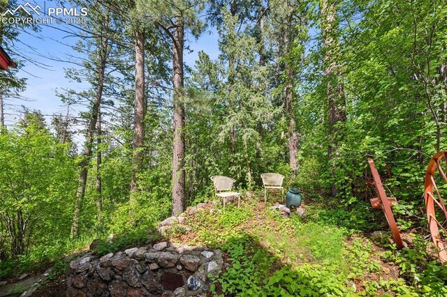 3875 Overlook Rd, Colorado Springs, CO 80906 - view of yard featuring a forest view