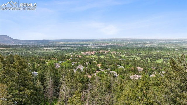 3875 Overlook Rd, Colorado Springs, CO 80906 - aerial view of a forest and a mountain backdrop