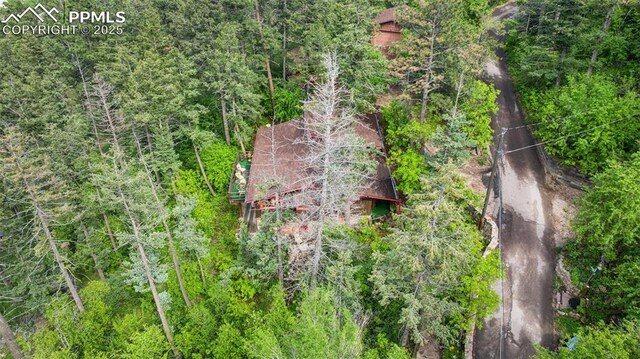 3875 Overlook Rd, Colorado Springs, CO 80906 - view of subject property with a forest