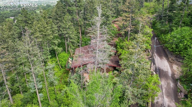 3875 Overlook Rd, Colorado Springs, CO 80906 - view of tree filled area