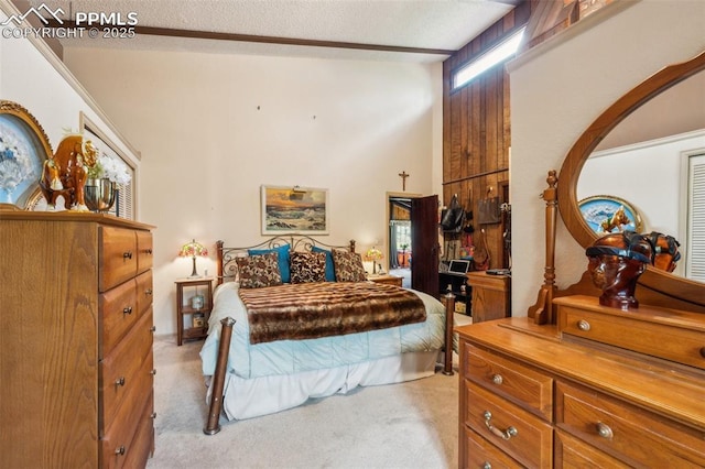 3875 Overlook Rd, Colorado Springs, CO 80906 - bedroom with light carpet and a textured ceiling