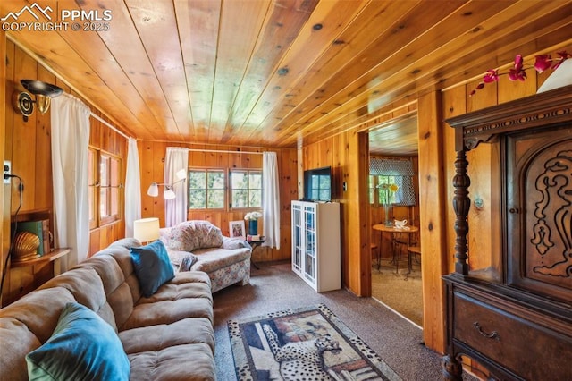 3875 Overlook Rd, Colorado Springs, CO 80906 - living room with carpet floors and wooden walls