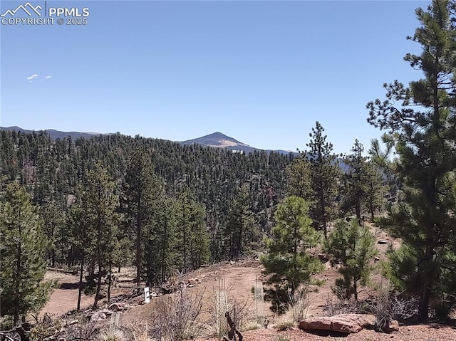 822 Chateau W Dr, Florissant, CO 80816