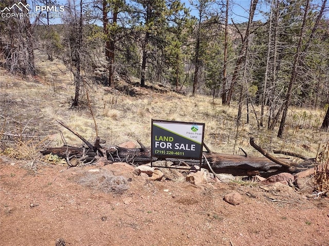 822 Chateau W Dr, Florissant, CO 80816