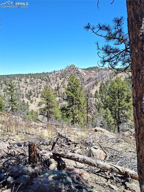 822 Chateau W Dr, Florissant, CO 80816