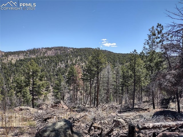 822 Chateau W Dr, Florissant, CO 80816