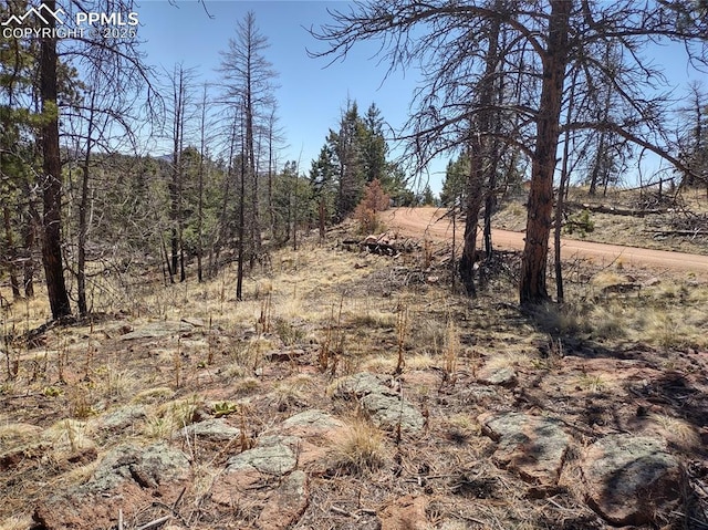 822 Chateau W Dr, Florissant, CO 80816