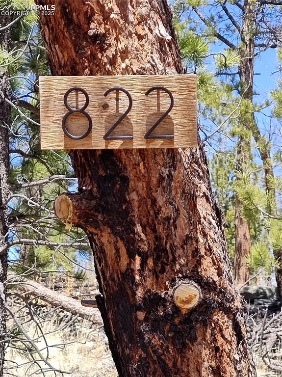 822 Chateau W Dr, Florissant, CO 80816