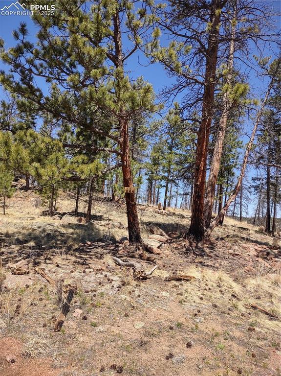 822 Chateau W Dr, Florissant, CO 80816
