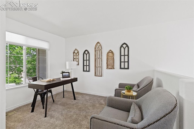 4430 Songglen Cir, Colorado Springs, CO 80906 - carpeted home office featuring plenty of natural light and baseboards