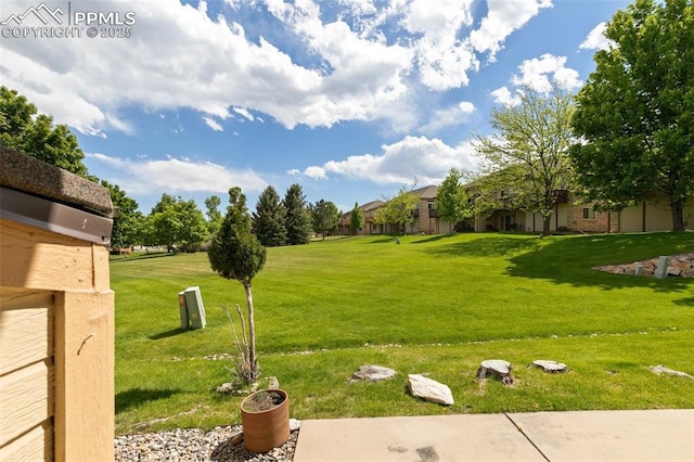 4430 Songglen Cir, Colorado Springs, CO 80906 - view of green lawn