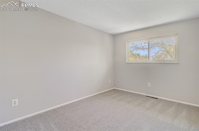3177 Blue Mountain Way, Colorado Springs, CO 80906 - empty room featuring carpet floors and baseboards