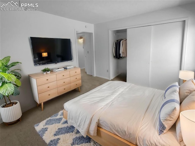 937 Moorings Dr, Colorado Springs, CO 80906 - carpeted bedroom with a closet