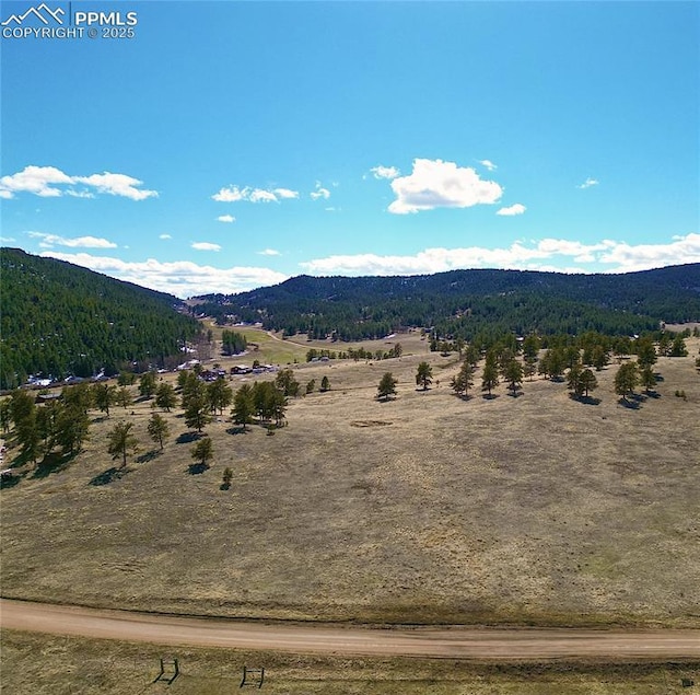 200 Slater Creek Rd, Florissant, CO 80816