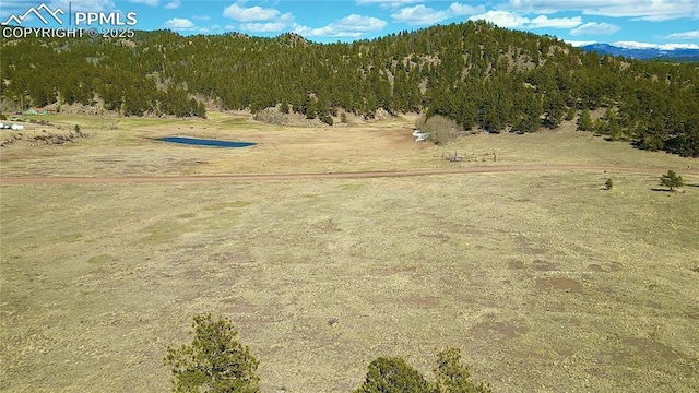 200 Slater Creek Rd, Florissant, CO 80816