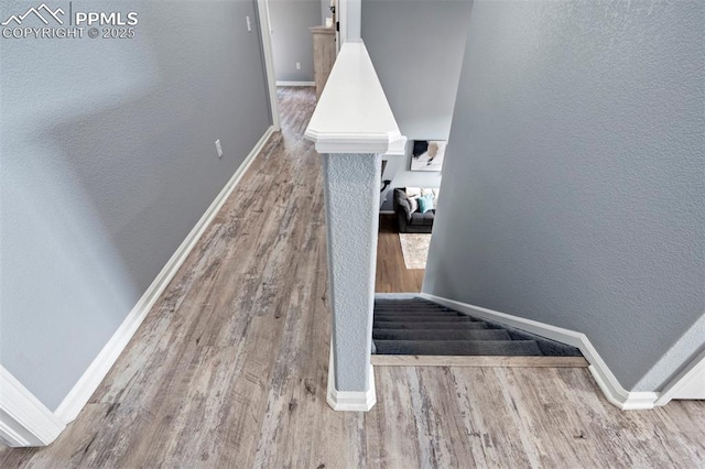 14213 Woodrock Path, Colorado Springs, CO 80921 - view of stairs