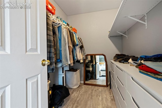 14213 Woodrock Path, Colorado Springs, CO 80921 - walk in closet featuring light wood-style flooring