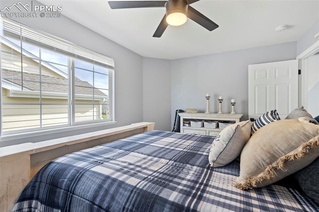 14213 Woodrock Path, Colorado Springs, CO 80921 - bedroom with a ceiling fan