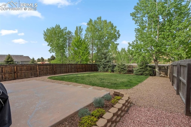14213 Woodrock Path, Colorado Springs, CO 80921 - view of yard with a patio area