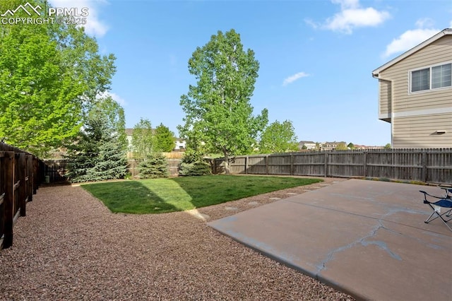 14213 Woodrock Path, Colorado Springs, CO 80921 - view of yard with a patio area