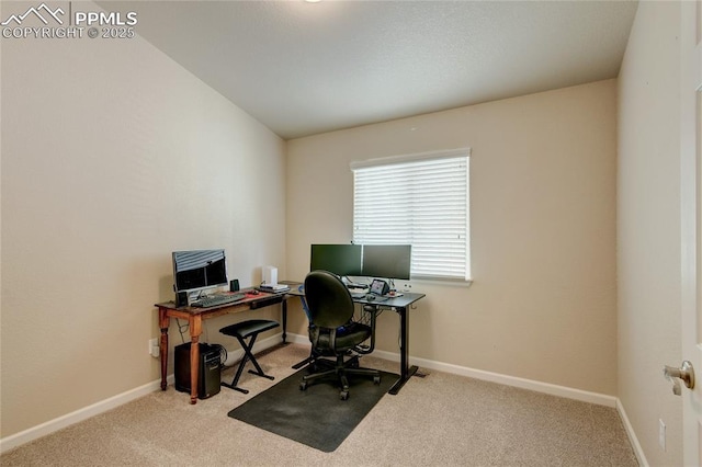 11933 Corbu Hts, Peyton, CO 80831 - carpeted office space featuring baseboards