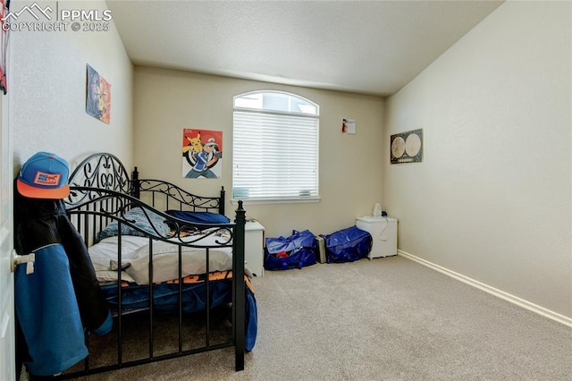 11933 Corbu Hts, Peyton, CO 80831 - carpeted bedroom with baseboards
