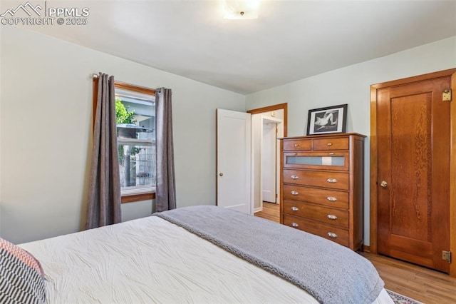 2430 N Tejon St, Colorado Springs, CO 80907 - bedroom with light wood-type flooring