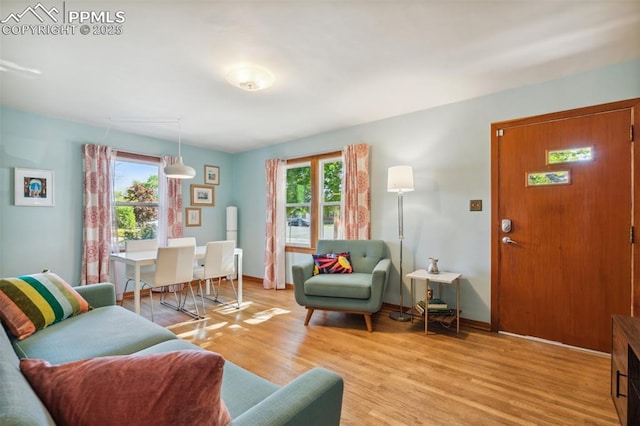 2430 N Tejon St, Colorado Springs, CO 80907 - living area with plenty of natural light, light wood-style flooring, and baseboards