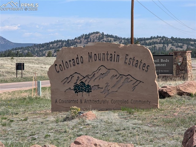 971 Spring Valley Ln, Florissant, CO 80816