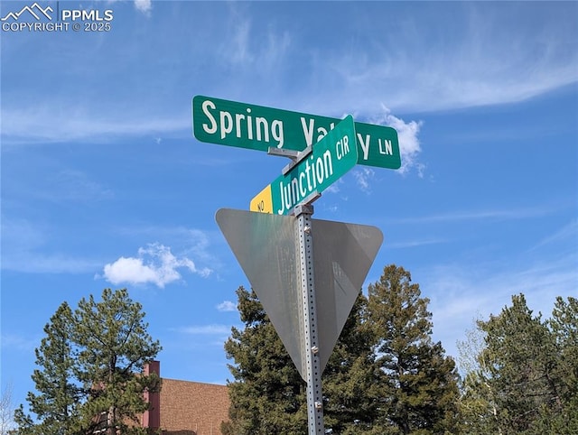 971 Spring Valley Ln, Florissant, CO 80816