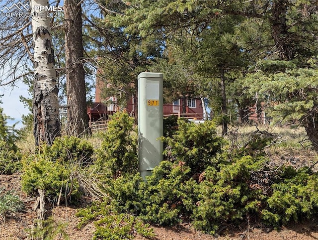 971 Spring Valley Ln, Florissant, CO 80816
