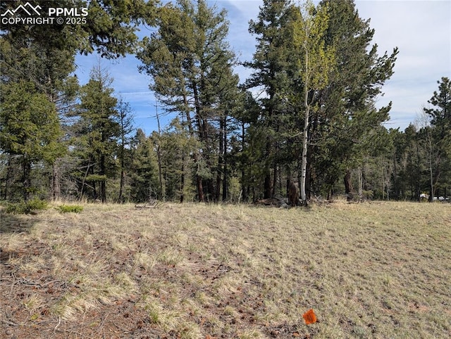 971 Spring Valley Ln, Florissant, CO 80816