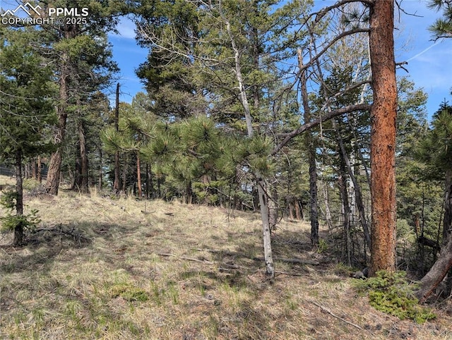 971 Spring Valley Ln, Florissant, CO 80816