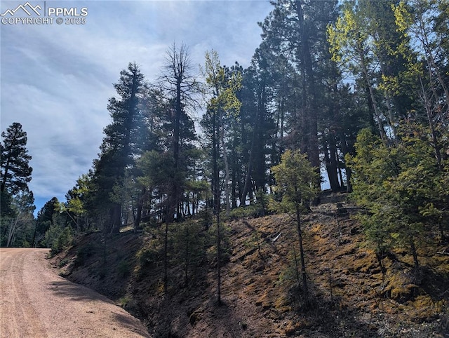 971 Spring Valley Ln, Florissant, CO 80816