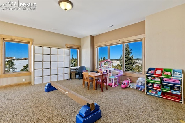 18320 Table Rock Rd, Colorado Springs, CO 80908 - recreation room featuring carpet and plenty of natural light