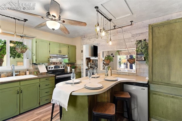 1004 Montrose Ave, Colorado Springs, CO 80905 - kitchen with green cabinets, under cabinet range hood, a sink, stainless steel electric range oven, and refrigerator