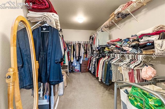8004 Brittinger Way, Colorado Springs, CO 80951 - spacious closet with carpet flooring