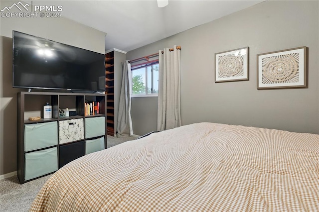 1225 Holland Park Blvd, Colorado Springs, CO 80907 - carpeted bedroom with baseboards