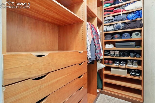 1225 Holland Park Blvd, Colorado Springs, CO 80907 - view of walk in closet