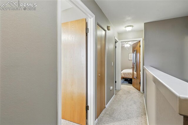 1225 Holland Park Blvd, Colorado Springs, CO 80907 - corridor with carpet floors