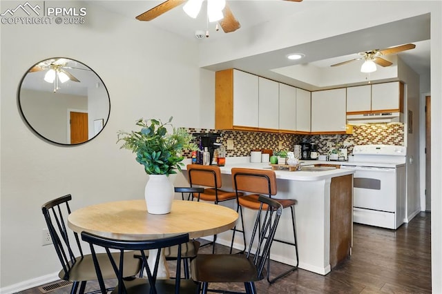 1225 Holland Park Blvd, Colorado Springs, CO 80907 - kitchen featuring a ceiling fan, white range with electric cooktop, under cabinet range hood, and light countertops