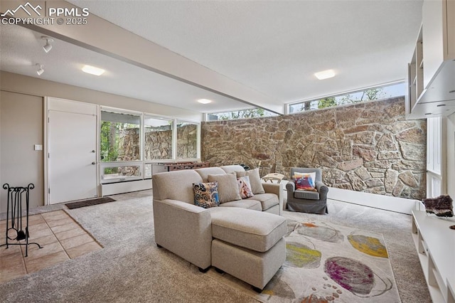 3 Heather Cir, Colorado Springs, CO 80906 - living room with carpet flooring