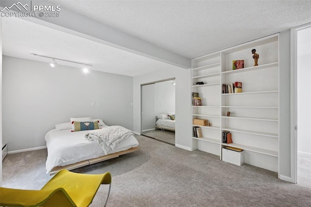 3 Heather Cir, Colorado Springs, CO 80906 - bedroom with carpet flooring, a textured ceiling, rail lighting, a closet, and baseboards