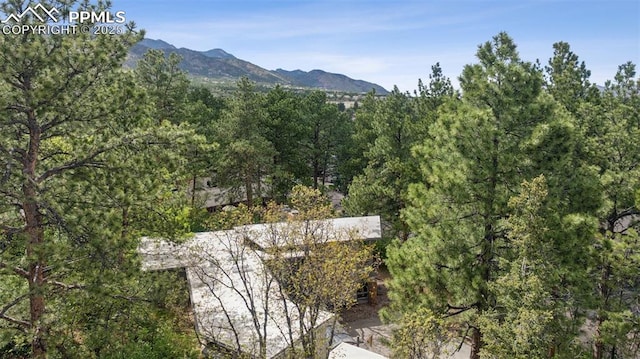 3 Heather Cir, Colorado Springs, CO 80906 - view of mountain backdrop with a heavily wooded area