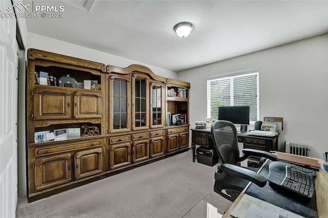 10641 Greenbelt Dr, Peyton, CO 80831 - office space with light colored carpet and radiator
