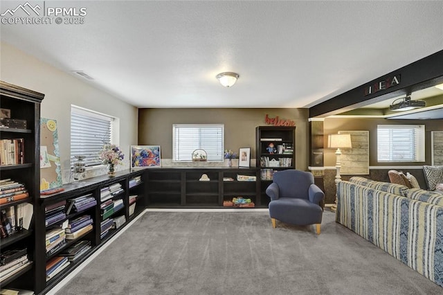 10641 Greenbelt Dr, Peyton, CO 80831 - living area featuring healthy amount of natural light and carpet