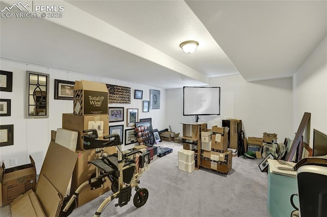 10641 Greenbelt Dr, Peyton, CO 80831 - interior space featuring carpet floors
