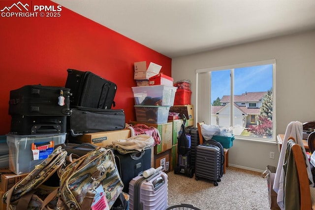 6557 Many Moon Dr, Colorado Springs, CO 80923 - view of storage area